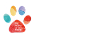 中国好猫步